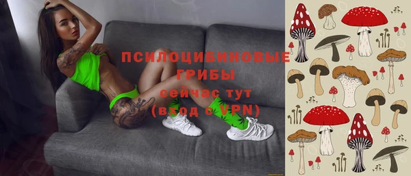 гашик Покачи